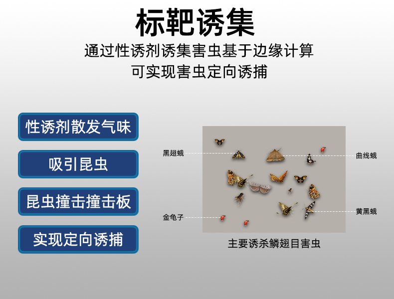 標靶蟲情監測(圖11)